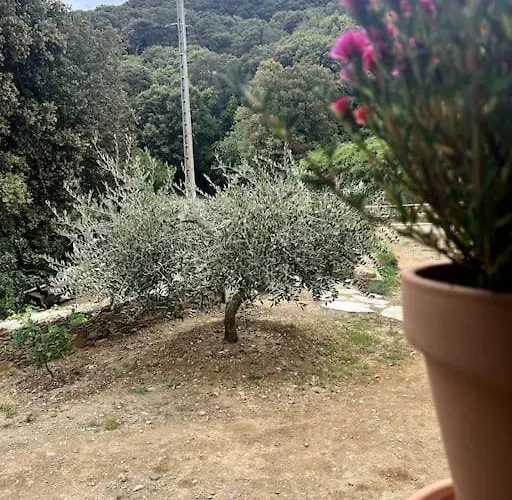 Ferienhaus Maison A La Pointe Du Cap Corse