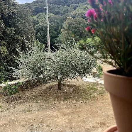 Hébergement de vacances Maison A La Pointe Du Cap Corse